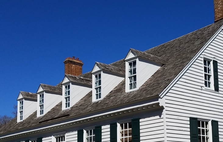 Chiens assis sur toiture