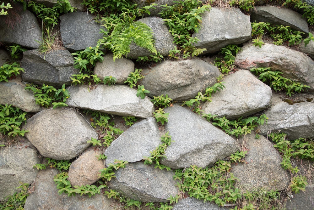 Enrochement paysager - enrochement végétalisé
