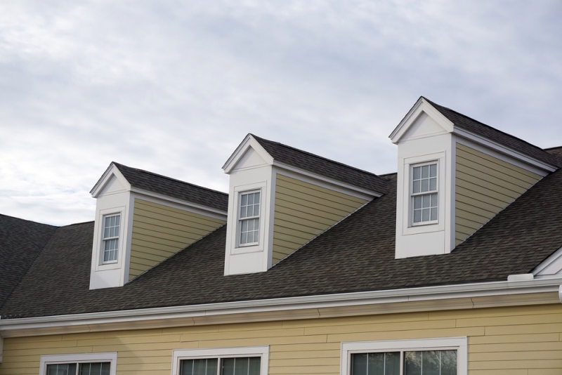 Lucarnes de toit - chien assis sur toiture