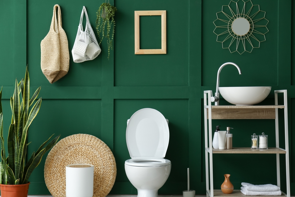 Toilettes mur vert